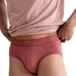 Men's Regular Fit Solid Cotton Briefs for Men Pack of 3