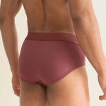 Men's Regular Fit Solid Cotton Briefs for Men Pack of 3