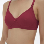 Bra for Women Non Padded | Wirefree Everyday Wear Bra for Woman