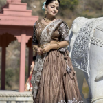 Taupe Brown Dola Silk Lehenga Choli with Dupatta